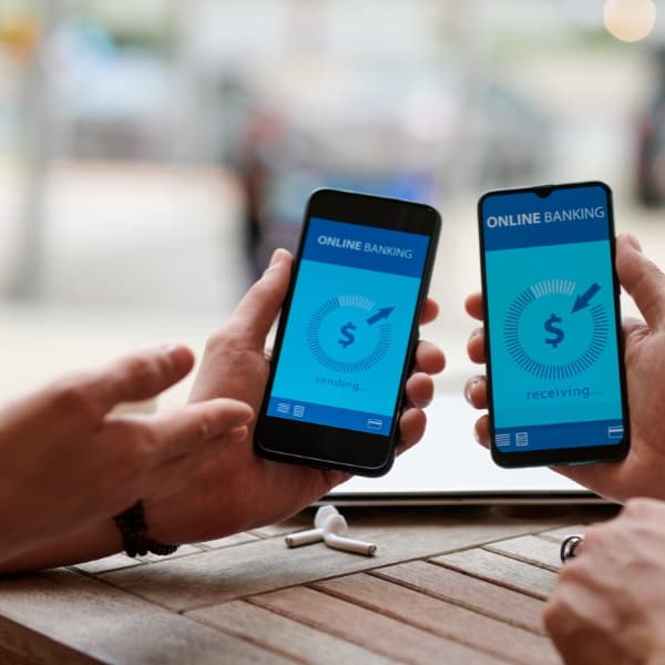 Hybrid Mobile App Development Services
